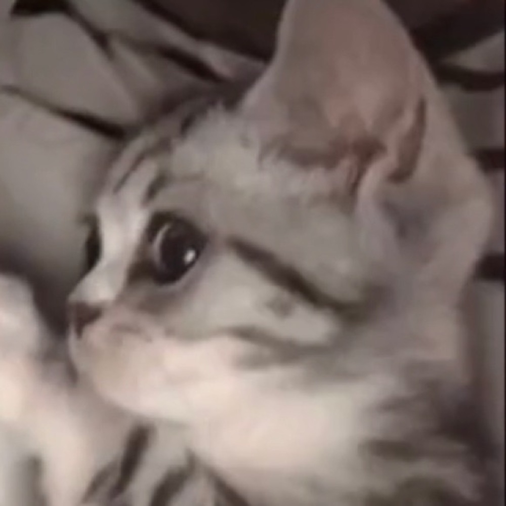 Meet your Posher, Solimar